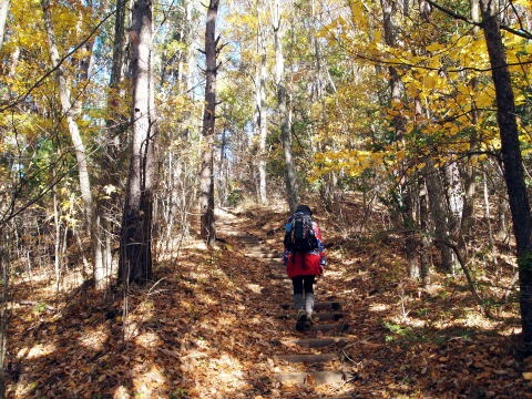 2013.11.17 足和田山(尾根歩き)