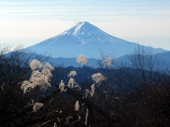 2013.11.24 サカリ山(尾根歩き)