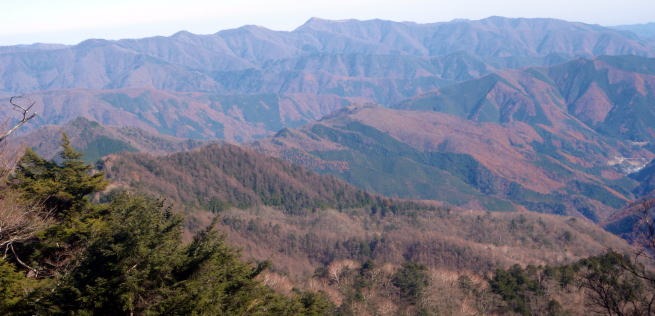 2013.11.24 サカリ山(尾根歩き)