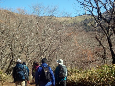 2013.11.24 サカリ山(尾根歩き)