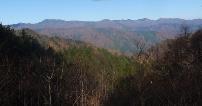 2013.11.24 サカリ山(尾根歩き)