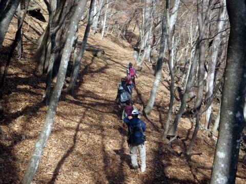 2013.11.24 サカリ山(尾根歩き)
