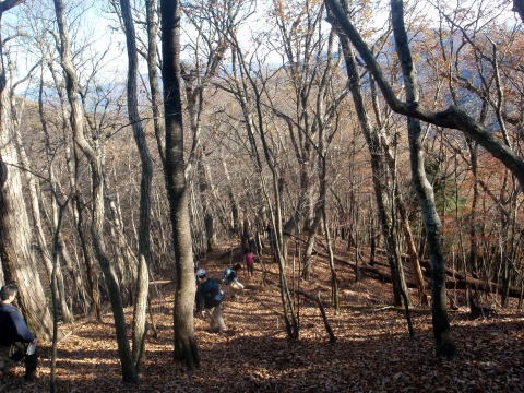 2013.11.24 サカリ山(尾根歩き)