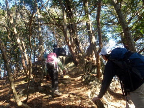2013.11.24 サカリ山(尾根歩き)