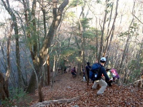 2013.11.24 サカリ山(尾根歩き)