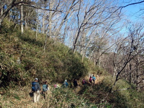 2013.11.24 サカリ山(尾根歩き)