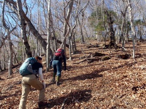 2013.11.24 サカリ山(尾根歩き)