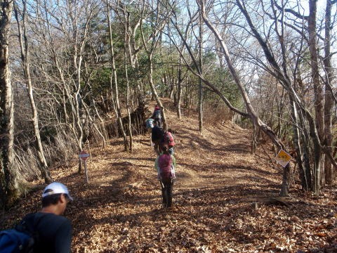 2013.11.24 サカリ山(尾根歩き)