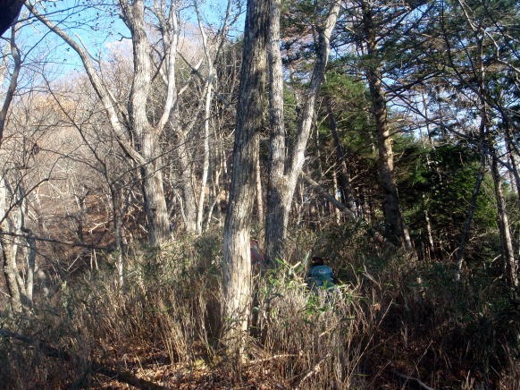 2013.11.24 サカリ山(尾根歩き)