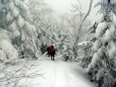 2011.1.15-16 赤岳(雪山)