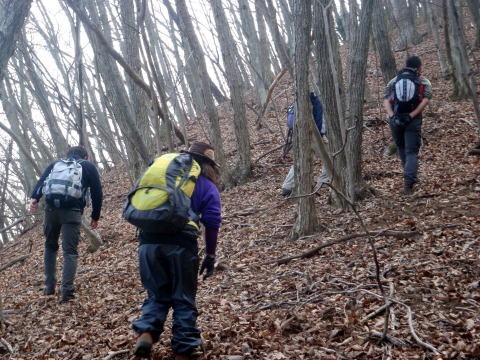 2011.2.5 丸山(尾根歩き)