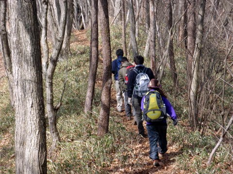 2011.2.5 丸山(尾根歩き)
