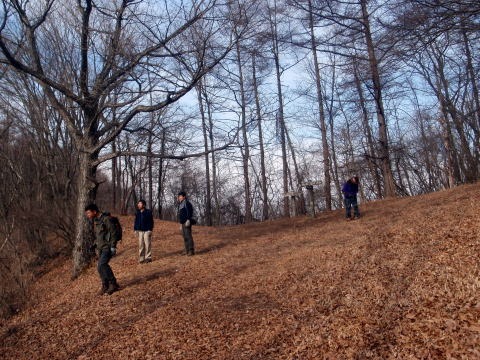 2011.2.5 丸山(尾根歩き)