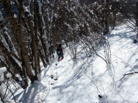 2011.2.13 倉見山(雪山)