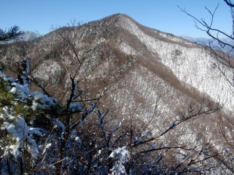 2011.2.13 倉見山(雪山)