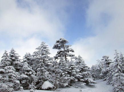 2013.2.16-17　北横岳（雪山）