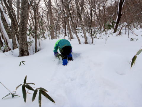 2012.1.8-9 那須・甲子山(雪山)