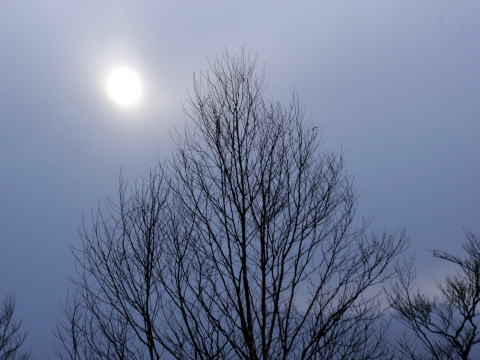 2012.2.18-19 明神ヶ岳(雪山)