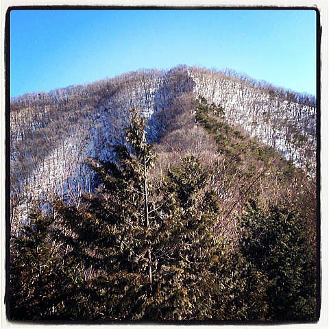 2012.2.4　中央線沿線・笹子雁ヶ腹摺山～小路沢ノ頭北尾根（尾根歩き）