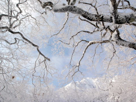 2012.1.8-9 那須・甲子山(雪山)