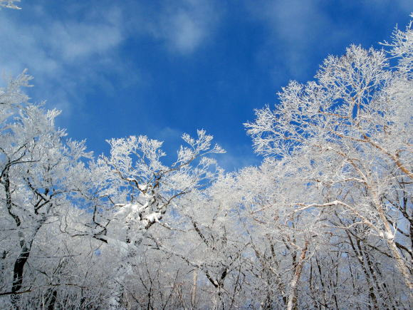 2012.1.8-9 那須・甲子山(雪山)
