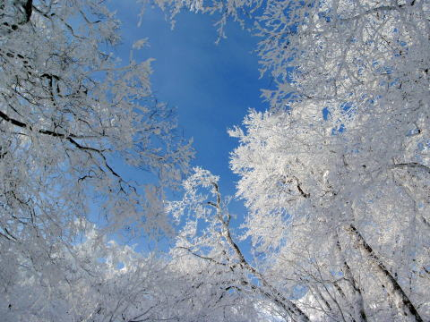 2012.1.8-9 那須・甲子山(雪山)