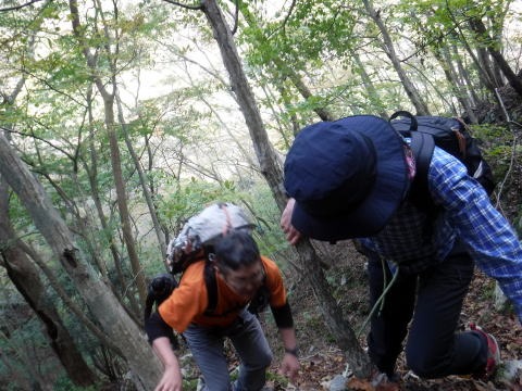 2023.11.18　丹沢 権現山（尾根歩き）