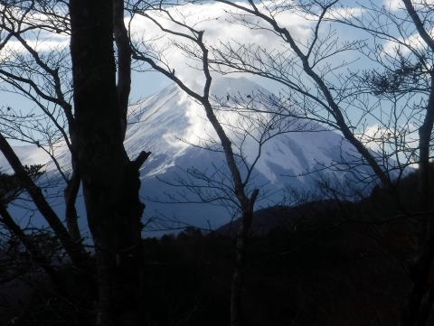 2023.11.18　丹沢 権現山（尾根歩き）