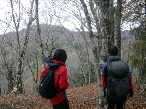 2023.11.18　丹沢 権現山（尾根歩き）