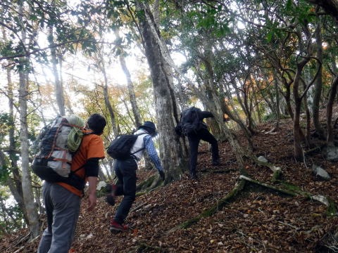 2023.11.18　丹沢 権現山（尾根歩き）