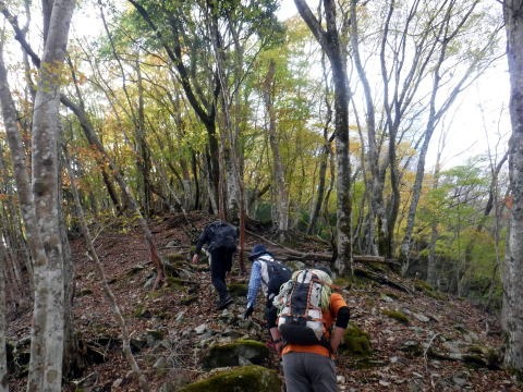2023.11.18　丹沢 権現山（尾根歩き）