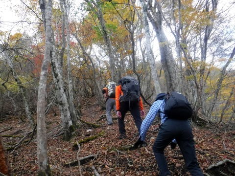 2023.11.18　丹沢 権現山（尾根歩き）