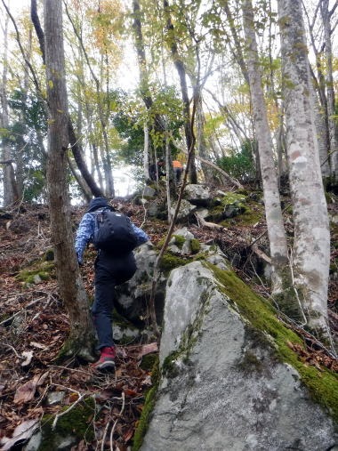 2023.11.18　丹沢 権現山（尾根歩き）