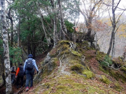 2023.11.18　丹沢 権現山（尾根歩き）