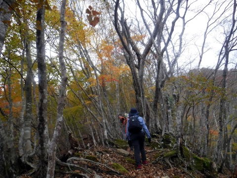 2023.11.18　丹沢 権現山（尾根歩き）