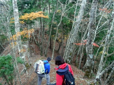 2023.11.18　丹沢 権現山（尾根歩き）