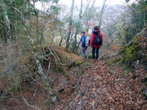 2023.11.18　丹沢 権現山（尾根歩き）