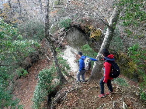 2023.11.18　丹沢 権現山（尾根歩き）