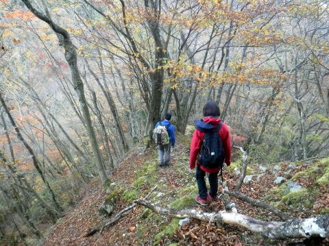 2023.11.18　丹沢 権現山（尾根歩き）