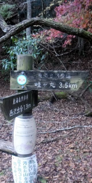 2023.11.18　丹沢 権現山（尾根歩き）