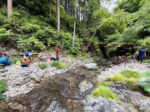 2021.6.20　小坂志川本流（沢登り）