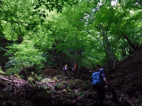 2021.6.20　小坂志川本流（沢登り）