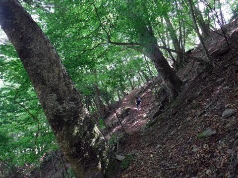 2021.7.24-25 真ノ沢(沢登り)