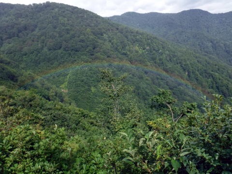 2021.8.8 白毛門沢(沢登り)