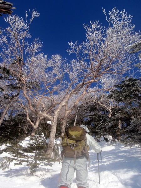 2012.3.3-4　八ヶ岳 権現岳（雪山）