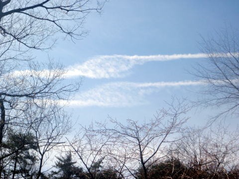 2012.4.15　ナットウ箱山（尾根歩き）