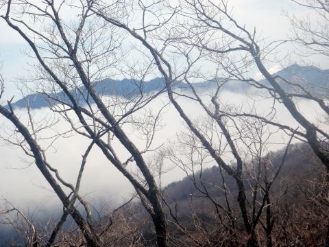 2012.4.15　ナットウ箱山（尾根歩き）