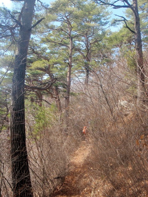 2012.4.15　ナットウ箱山（尾根歩き）
