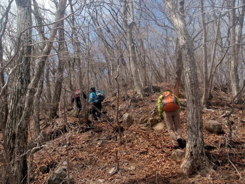2012.4.15　ナットウ箱山（尾根歩き）