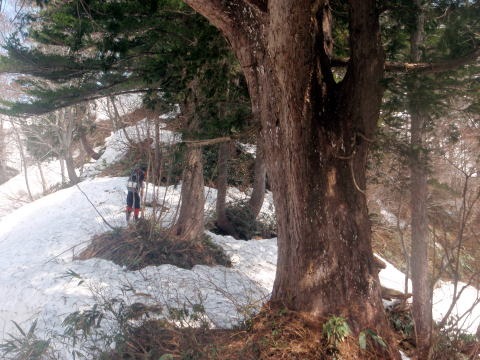 2012.4.21-22　谷川・武能岳西尾根（雪山）
